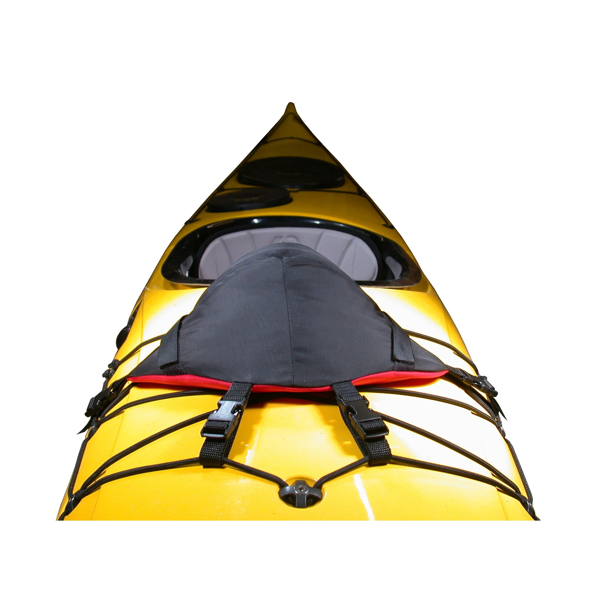 turtle-back-00